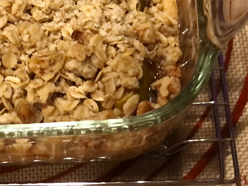 Fig oat bar
