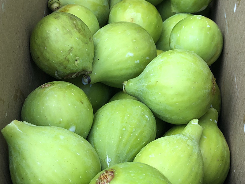 Chef Ena Fresh Figs