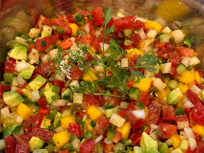 Mango medley salsa