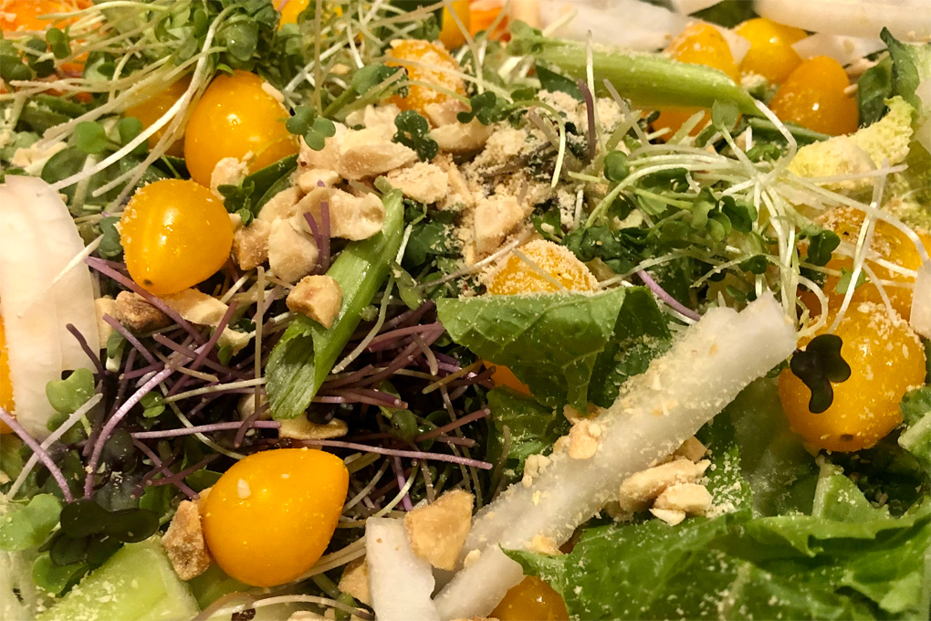 Healthy Recipes